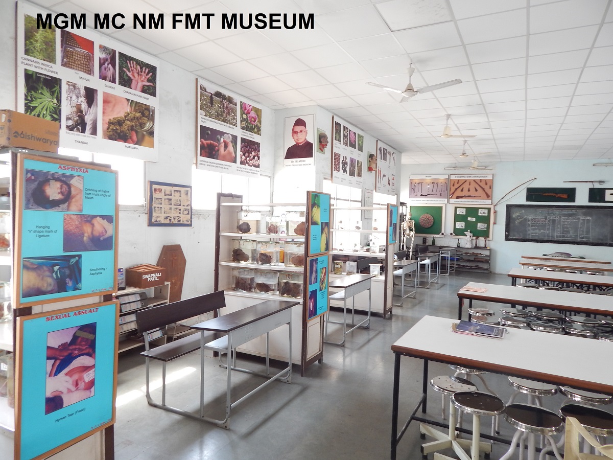 FMT Muesum - NM